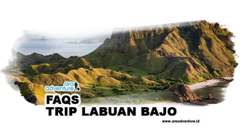 Faqs Trip Labuan Bajo