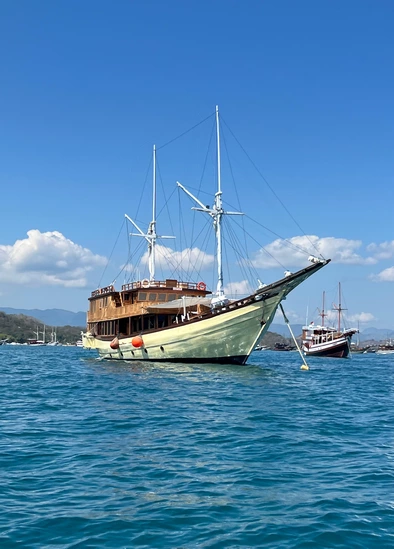 Private Deluxe Phinisi Charter Komodo Leticia